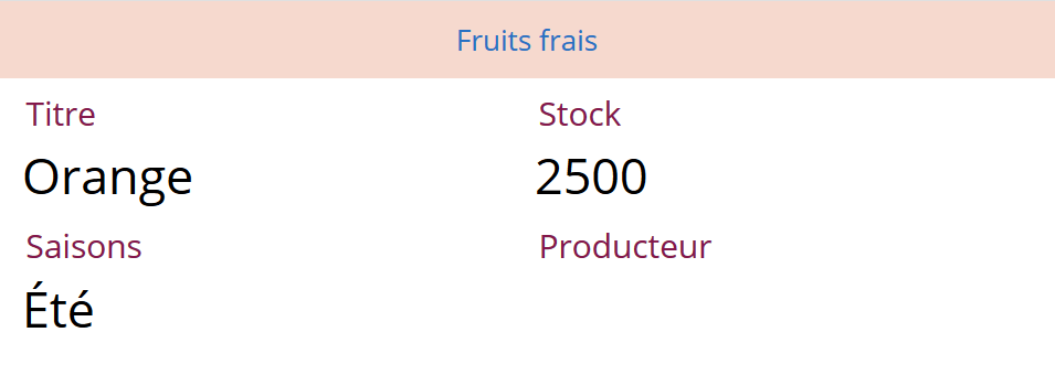 Formulaire de détail mis en forme (vue partielle)